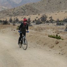 On the way to the Mirador (viewpoint) in the National Park Pan de Azucar